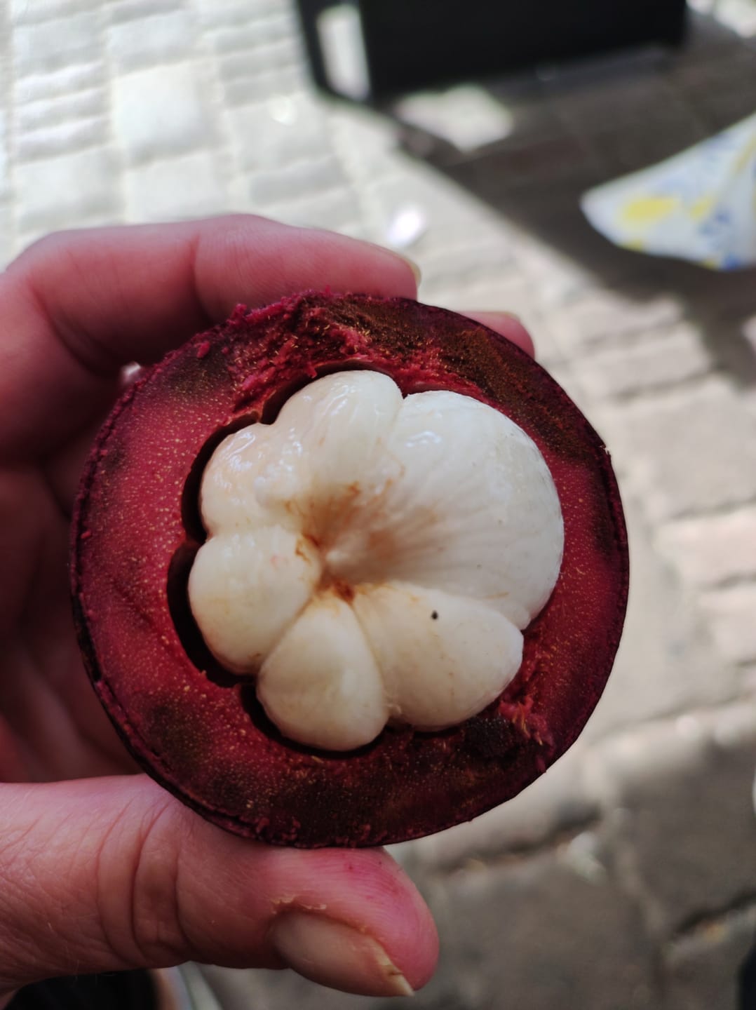Customer photo review of Mangostan (Mangosteen) Sommeraktion %