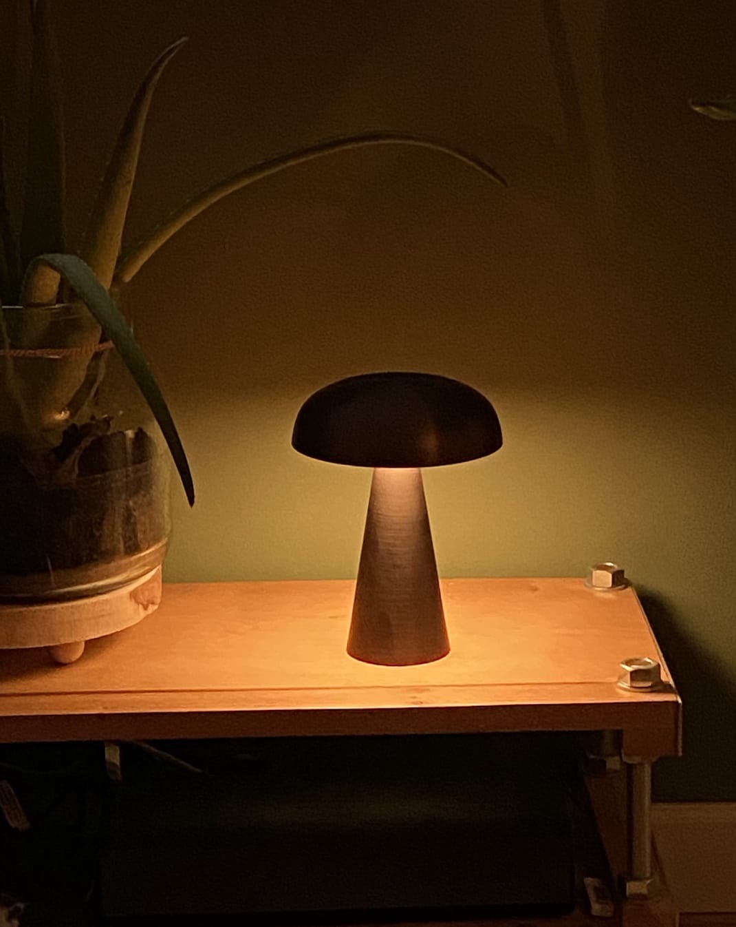Customer photo review of Battery Table Lamp