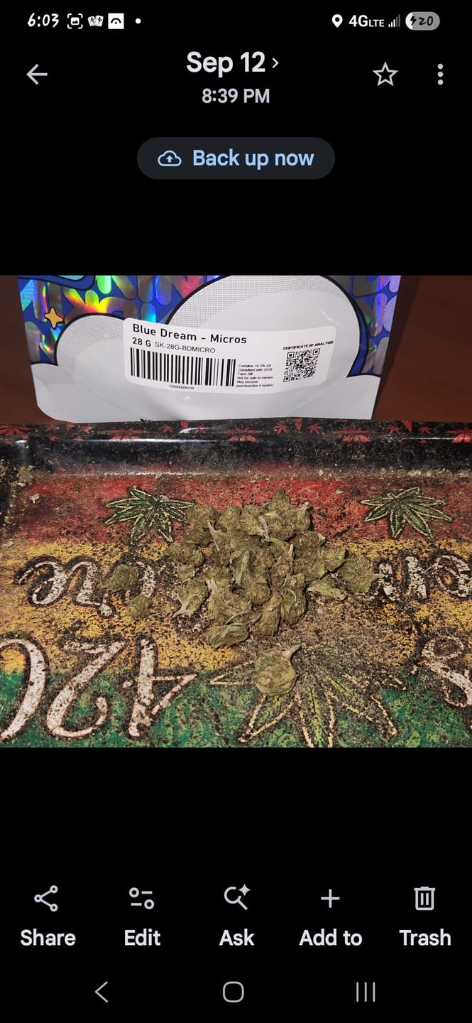 Customer photo review of KIND - Blue Dream - Micros - 28 Grams - Sativa