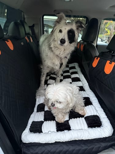 Customer photo review of PawLow Hard Bottom Seat Cover