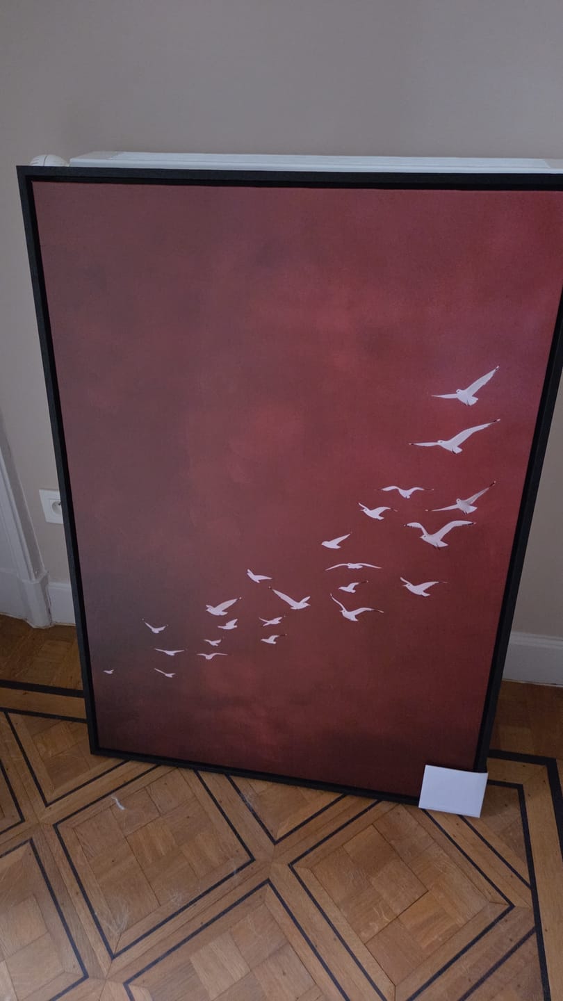 Customer photo review of Dance of Wings Print