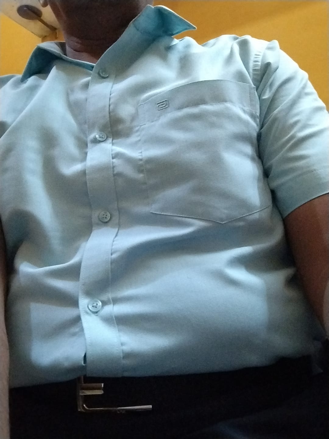 Customer photo review of Super Soft  - Mild Blue & Pale Green Pack Of 2 Combo Shirts For Men | Ariser