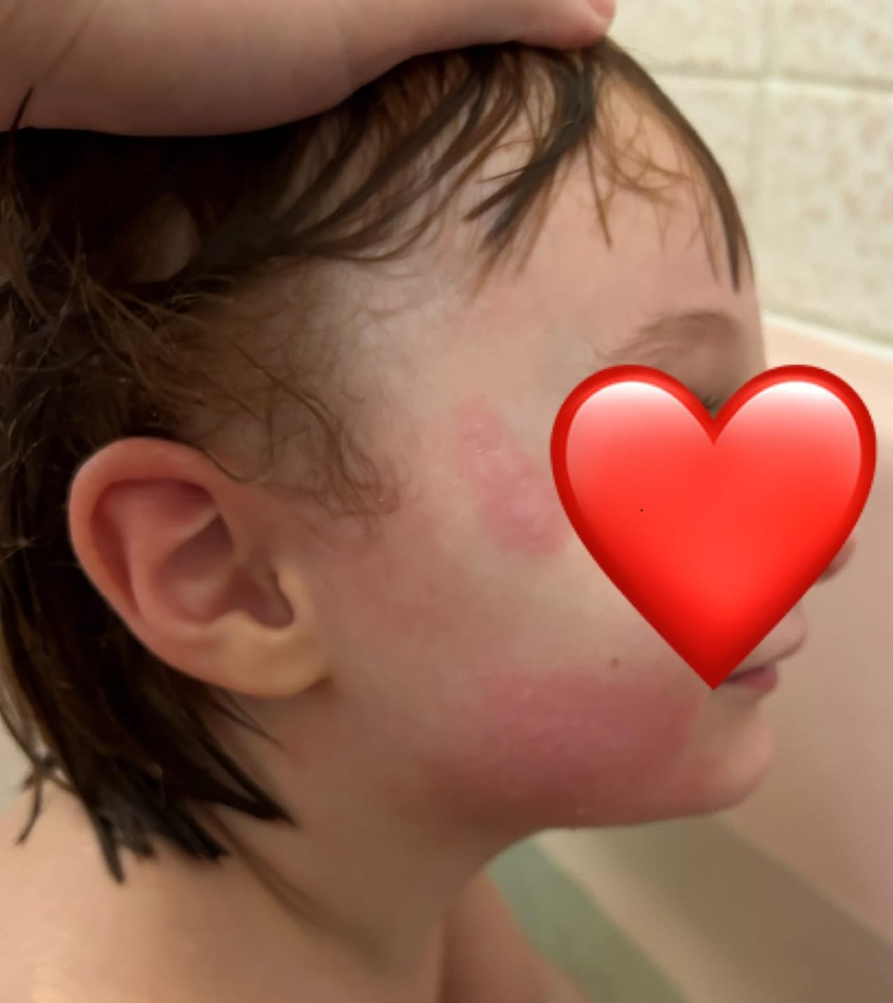 Customer photo review of Ultimate Party Pack - Face Paint for Kids