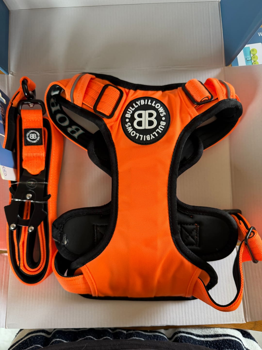 Customer photo review of 1.4m Swivel Combat Lead | Anti-Tangle & Secure Clip - Orange