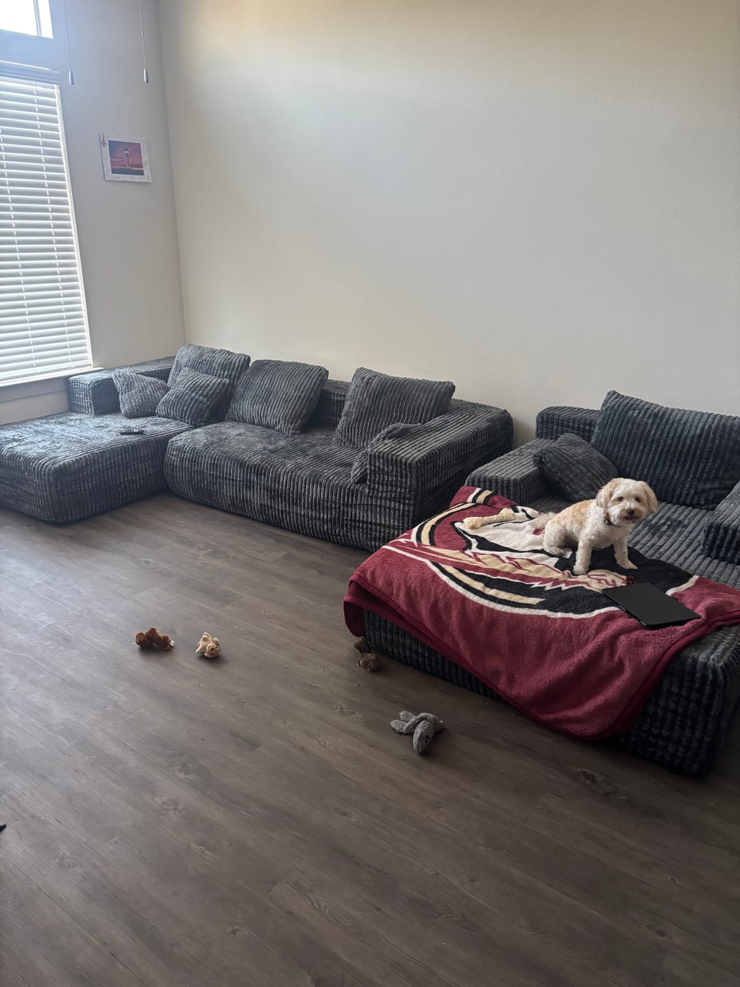 Customer photo review of L-Shape 3-Seater Convertible Sectional Sofa Set and Modern Reading Chair - No Assembly, Ships in 3-7 Days