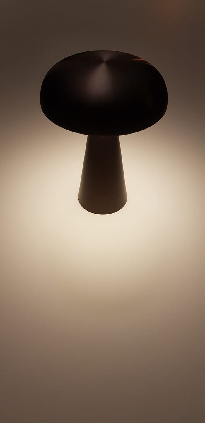Customer photo review of Battery Table Lamp