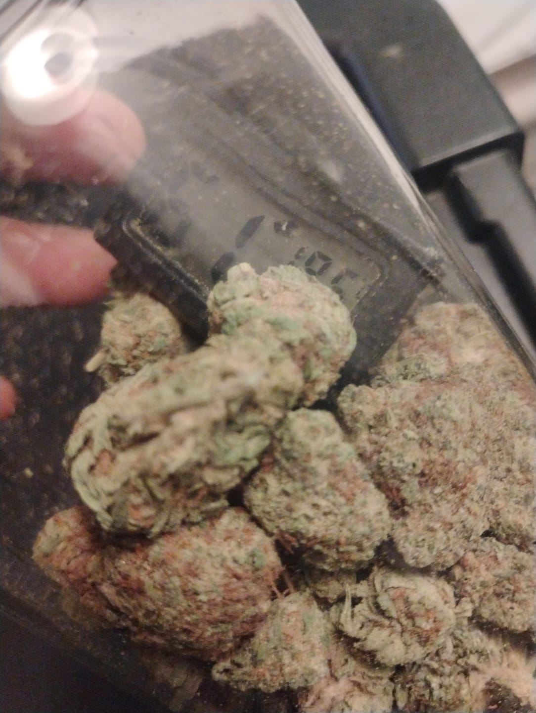 Customer photo review of Airheadz THCA Flower