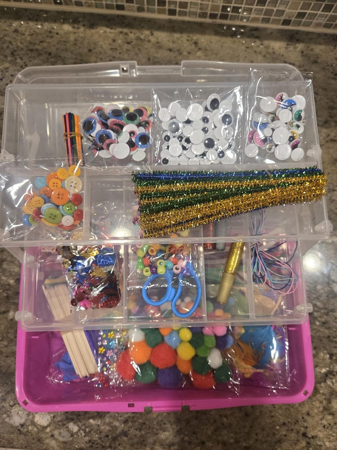 Customer photo review of Deluxe Craft Box