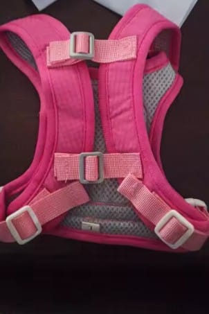 Customer photo review of Arnés-Mochila para perros