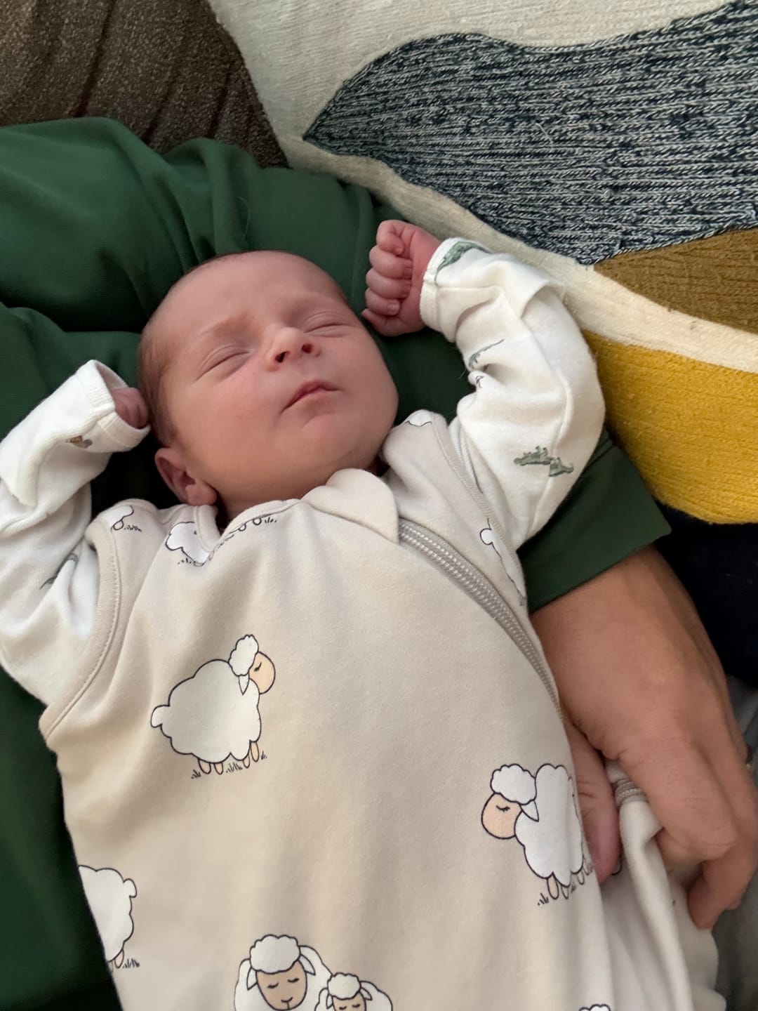 Customer photo review of 4 Season® Classic Baby Sleeping Bag, Merino Wool & Organic Cotton, Sheep