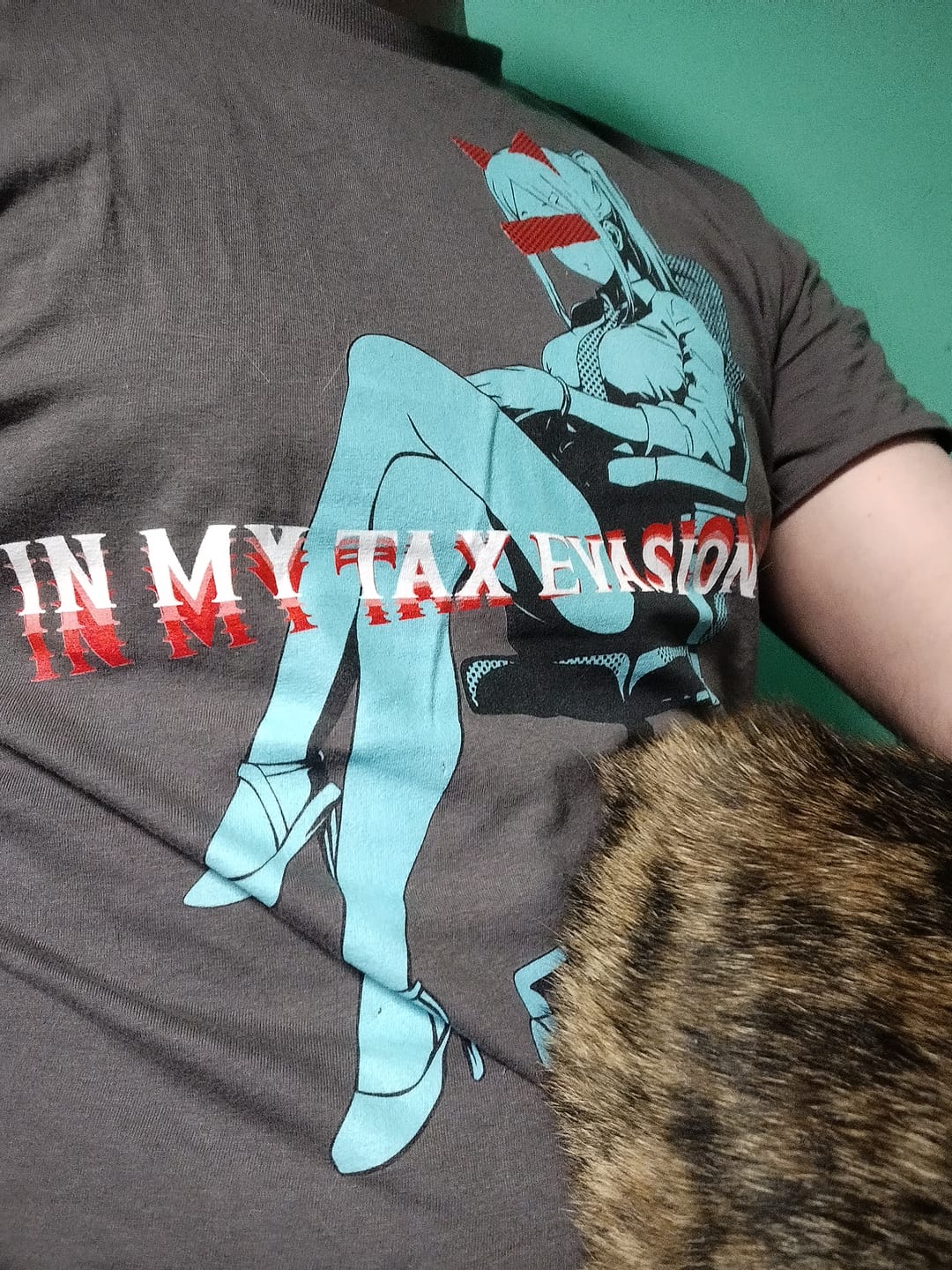 Customer photo review of Tax Evasion Era ❀ T-shirt