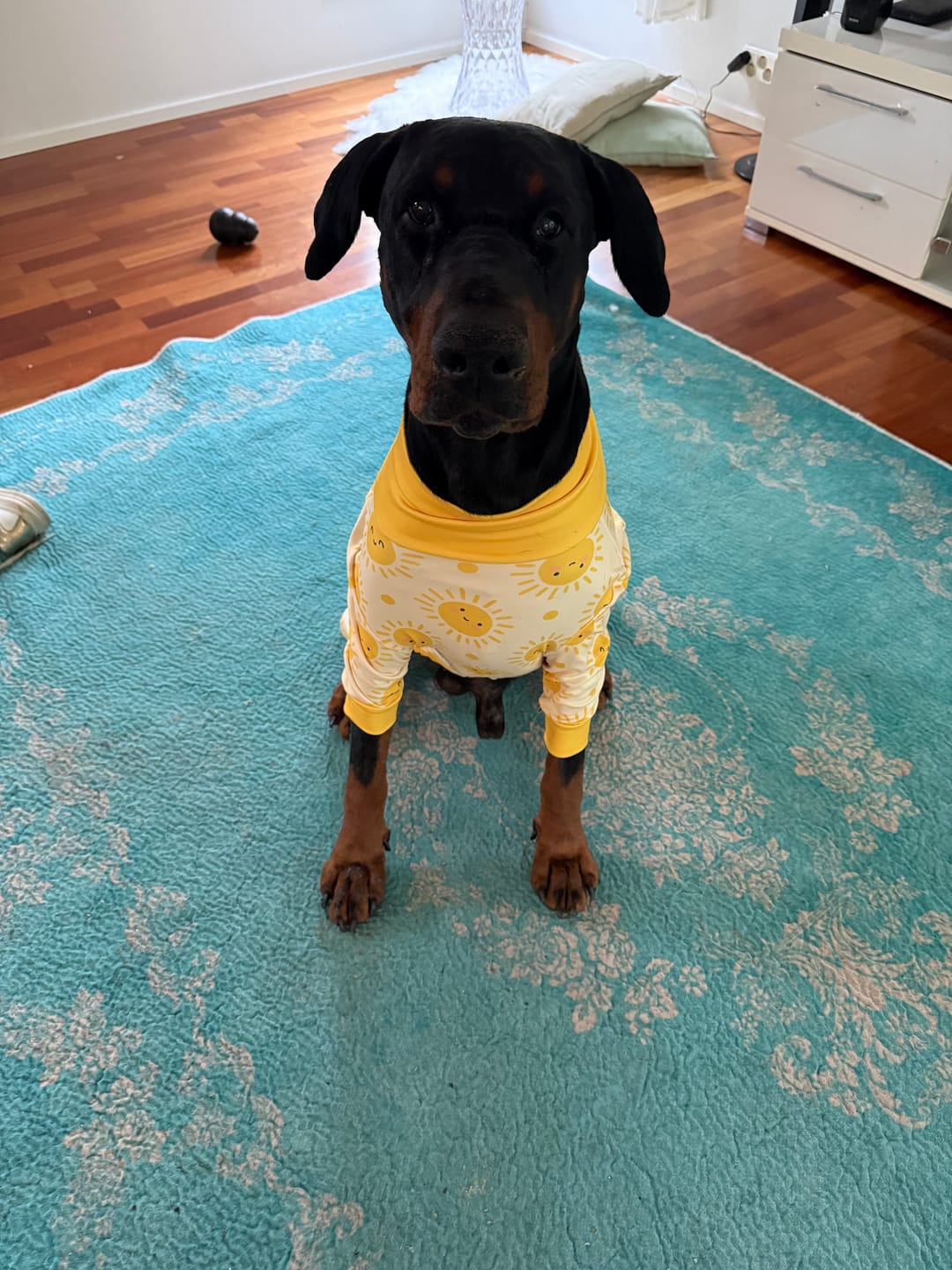 Customer photo review of Dog Pajama - Sunshine