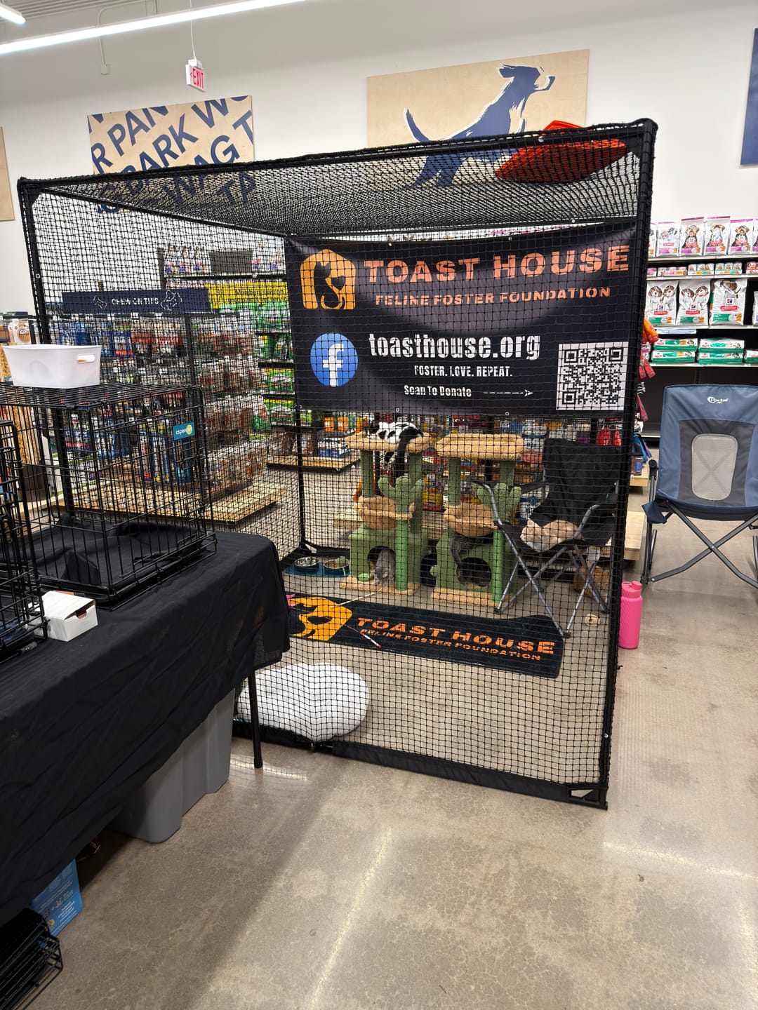 Customer photo review of Cat Enclosure | Large