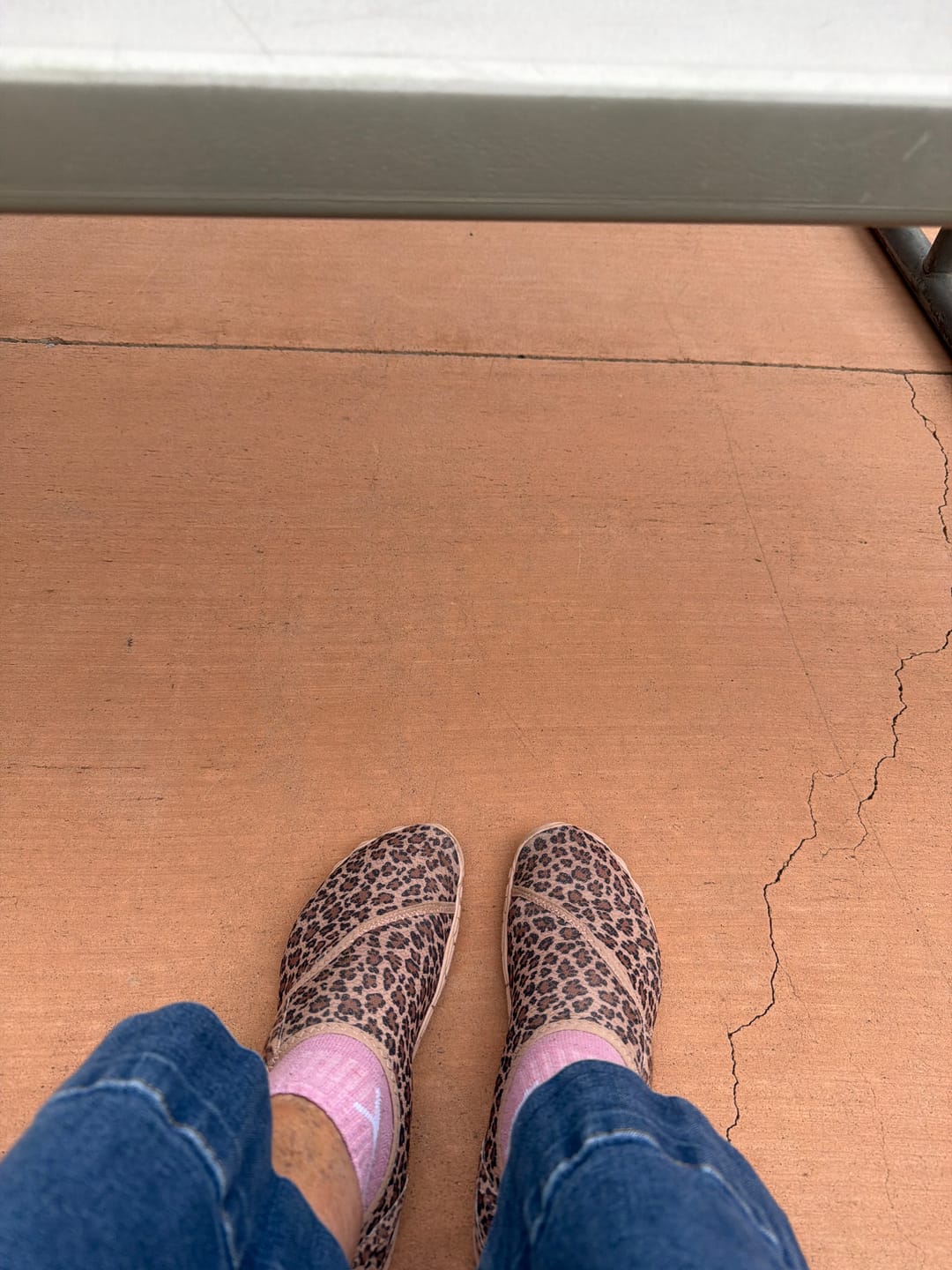 Customer photo review of Solyn-BOGO