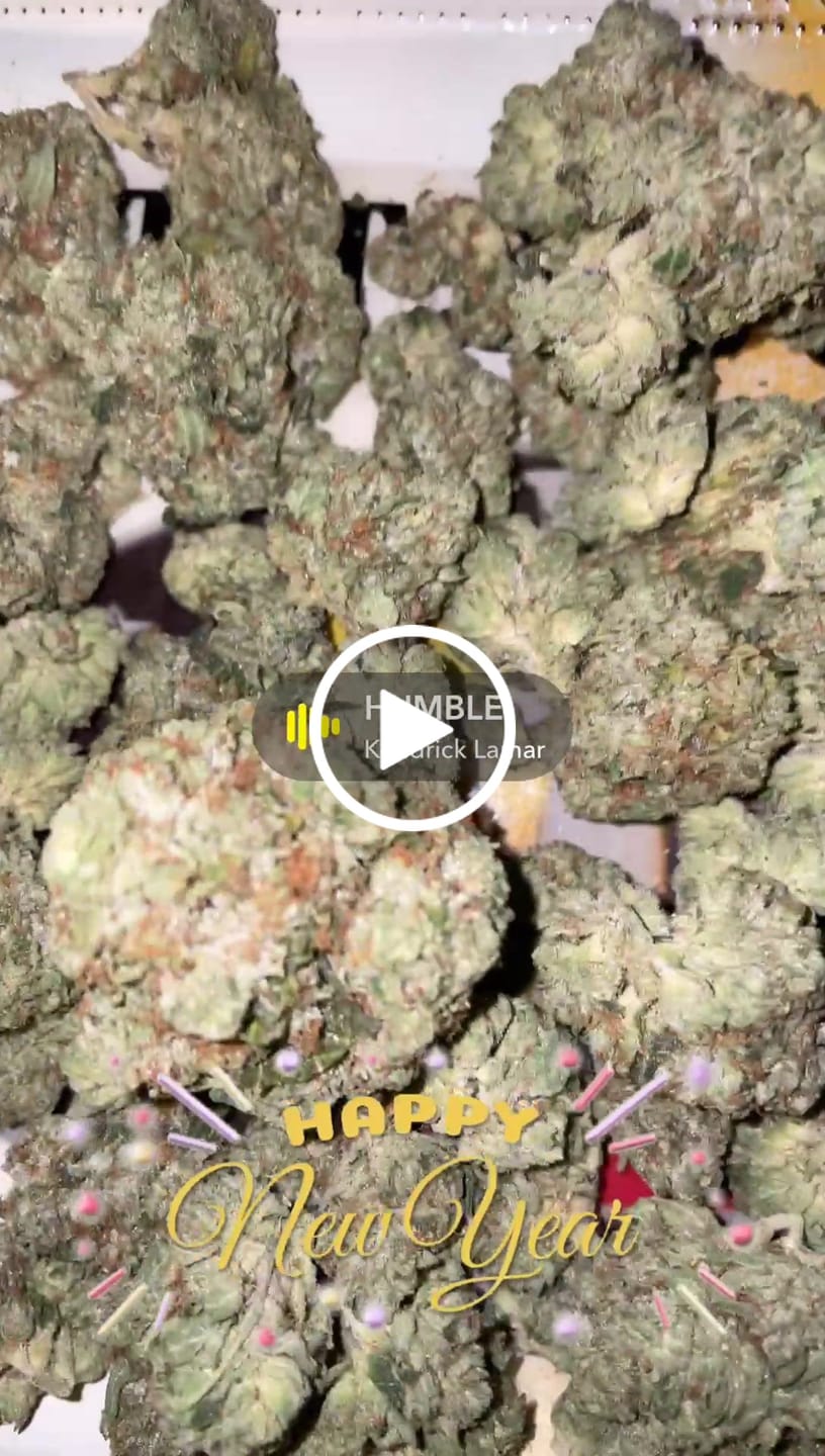 Customer video review of If Bruce was Blue Bundle - 2 oz THCA (Premium & Exotic)