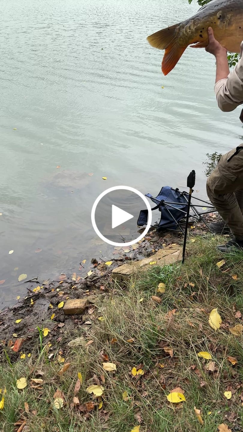 Customer video review of Flavoured Pellets 1kg – Gearomatiseerde Pellets