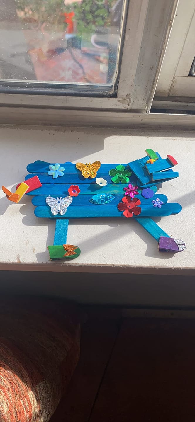 Customer photo review of Deluxe Craft Chest
