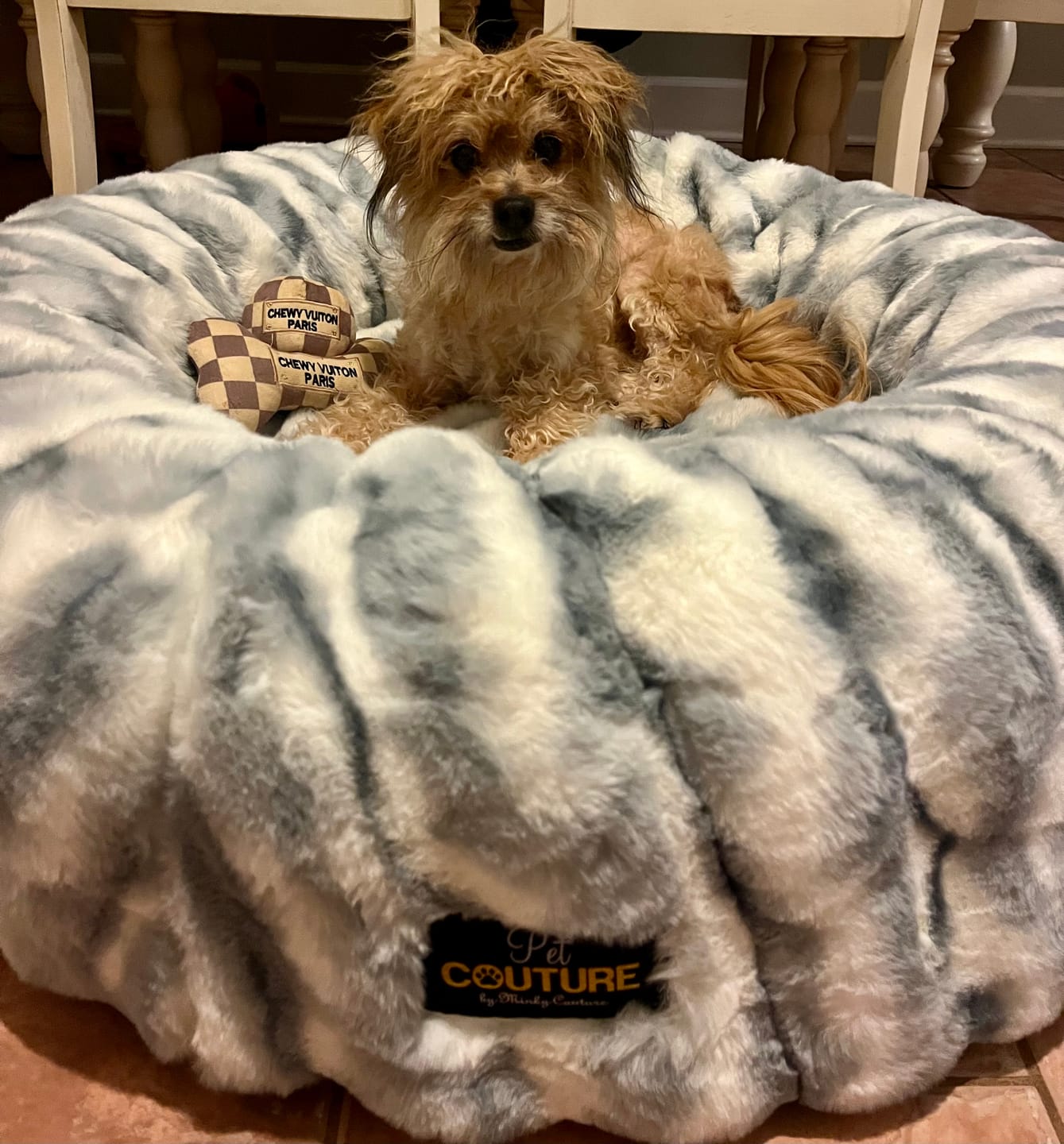 Customer photo review of Cloudy Day Blue Pet Bed COVER ONLY