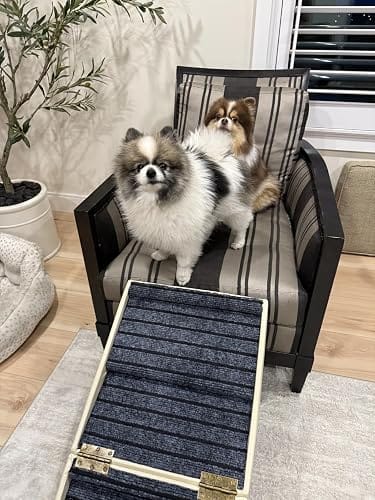Customer photo review of 2-in-1 Foldable Dog Stairs Ramp for Bed and Couch