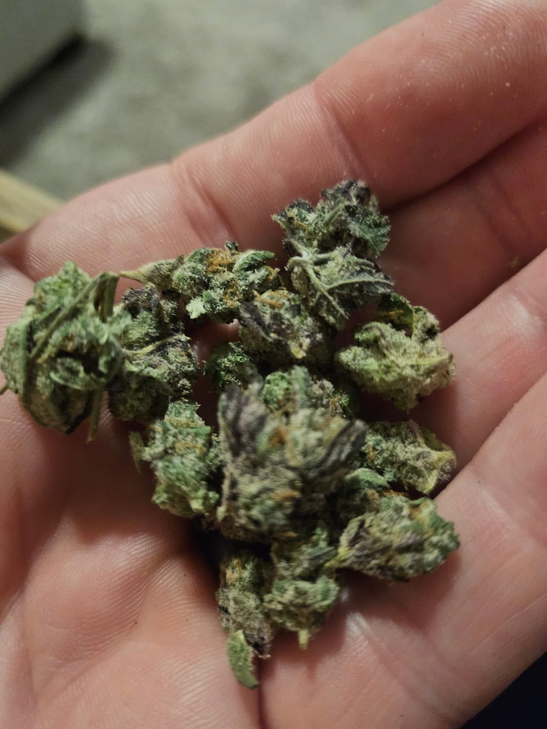 Customer photo review of Bruce Banner THCA Flower (Budget)