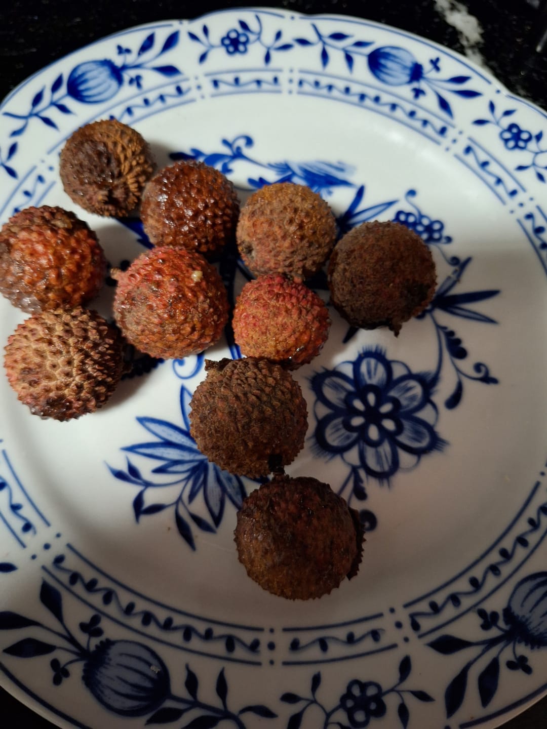Customer photo review of Litschi (Lychee) Bio von Julian