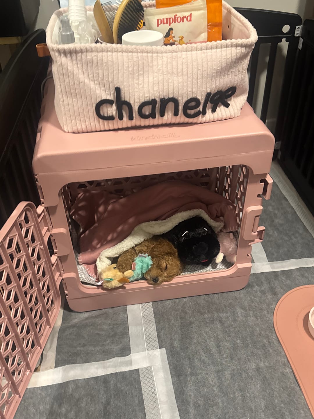 Customer photo review of Medium PAWD divider