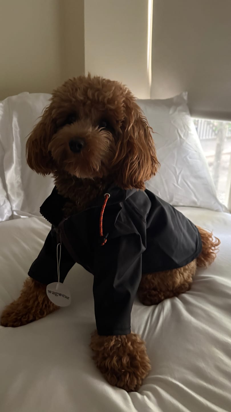 Customer photo review of Nylon Rainbreaker
