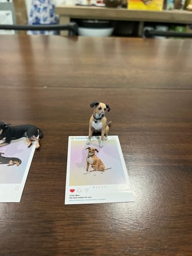 Customer's DoDoWish Personalized 3D Figurine of a brown and white dog placed on top of a social media styled photo card.