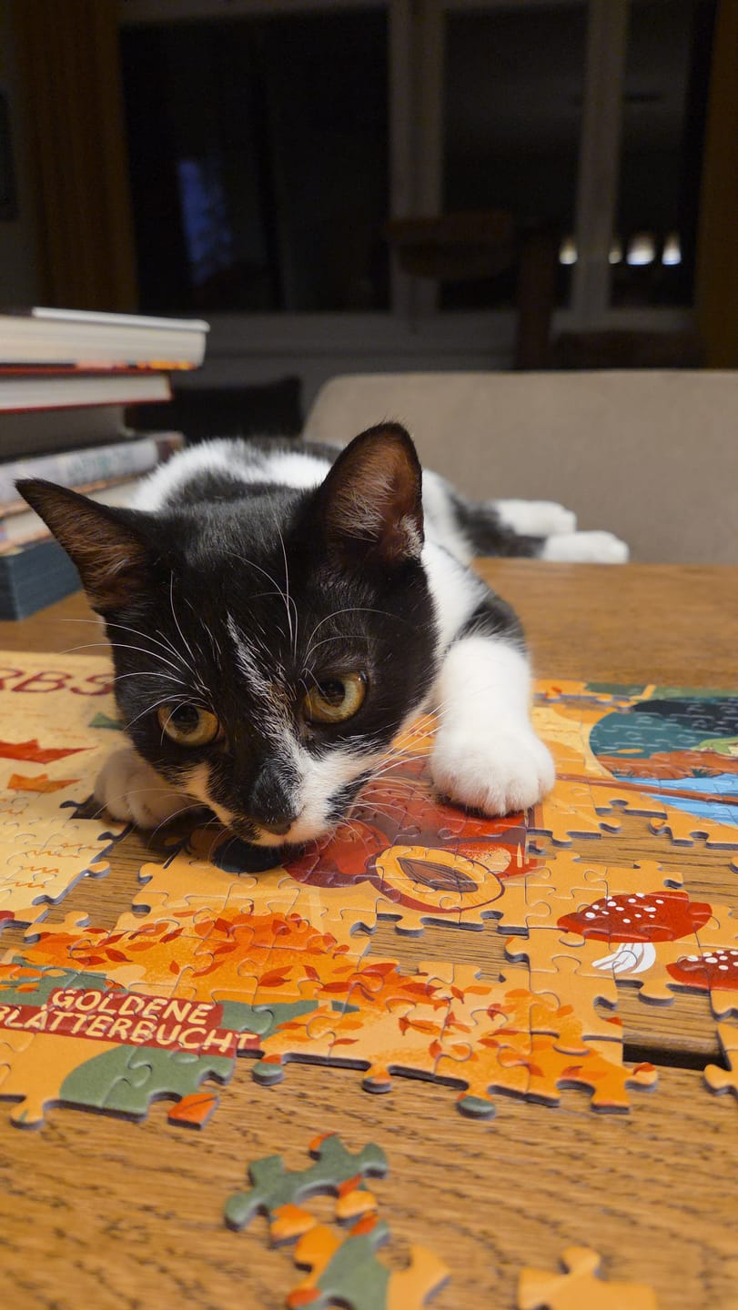 Customer photo review of Herbst Puzzle