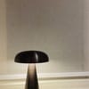 Customer photo review of Battery Table Lamp