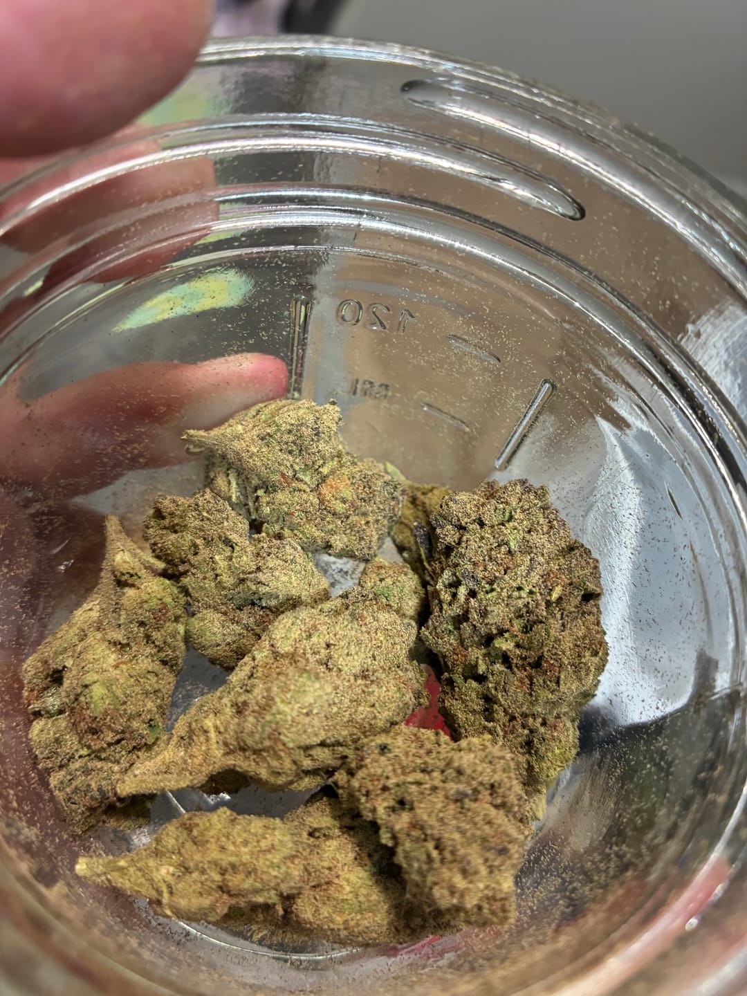 Customer photo review of Thin Mint Cookies - Bulk - Hybrid