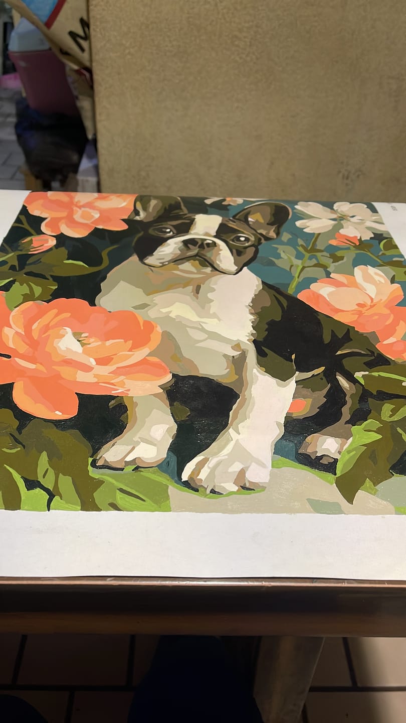Customer photo review of Portrait of French | Paint by Number