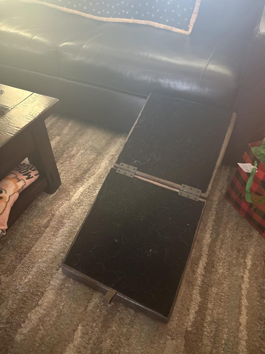 Customer photo review of 2-in-1 Foldable Dog Stairs Ramp for Bed and Couch