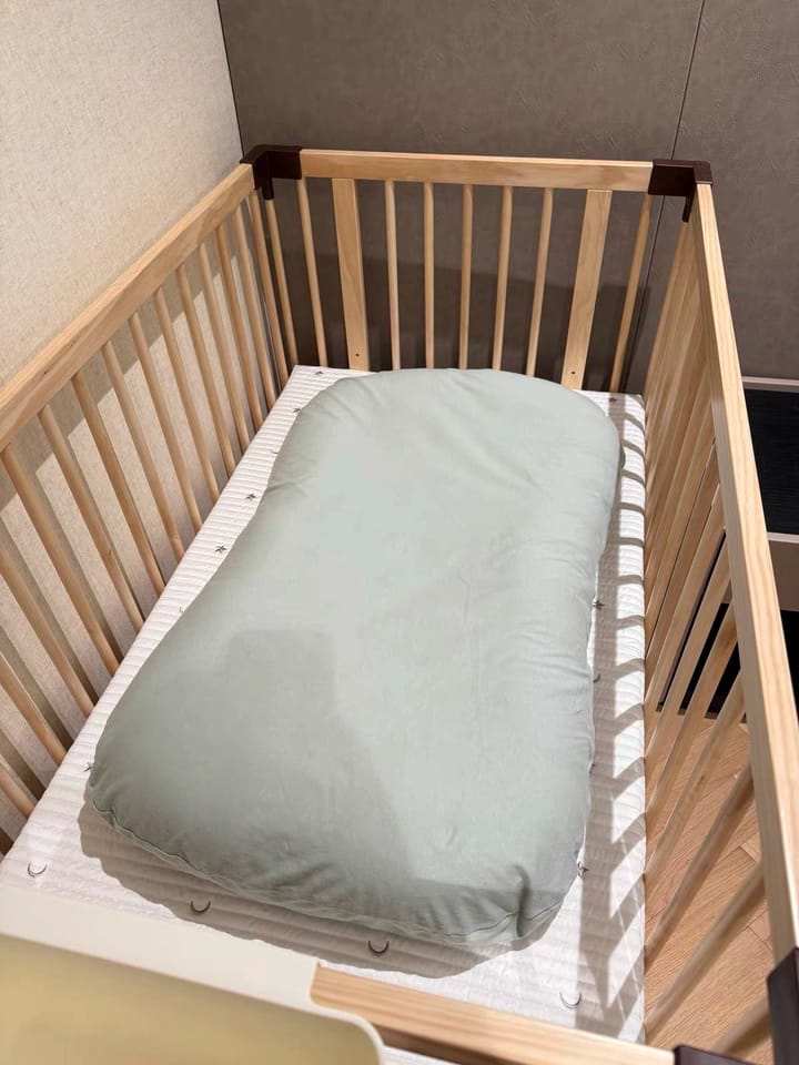 Customer photo review of Pastel Cotton Baby Lounger Nest