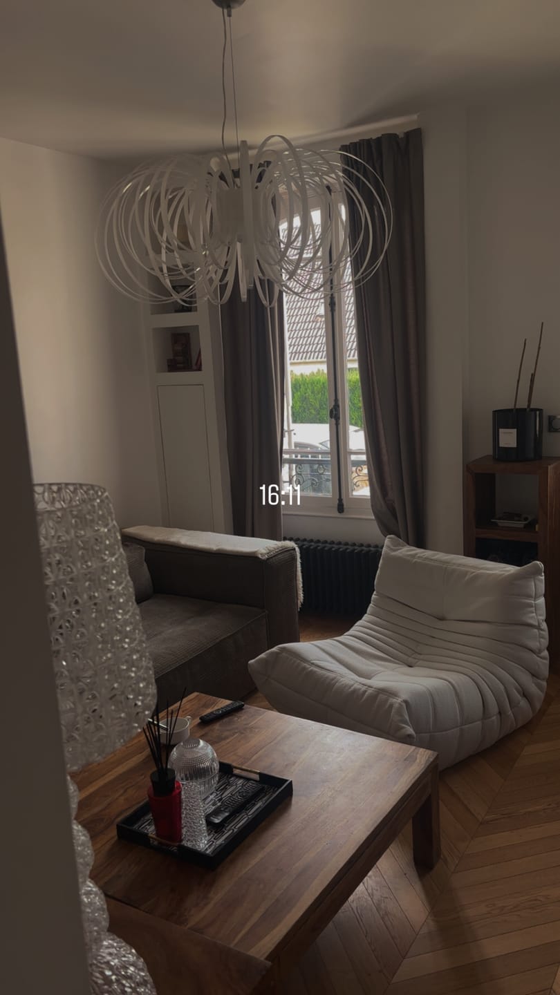 Customer photo review of Togo Fireside Chair Replica by Michel Ducaroy for Ligne Roset in Teddy Fleece