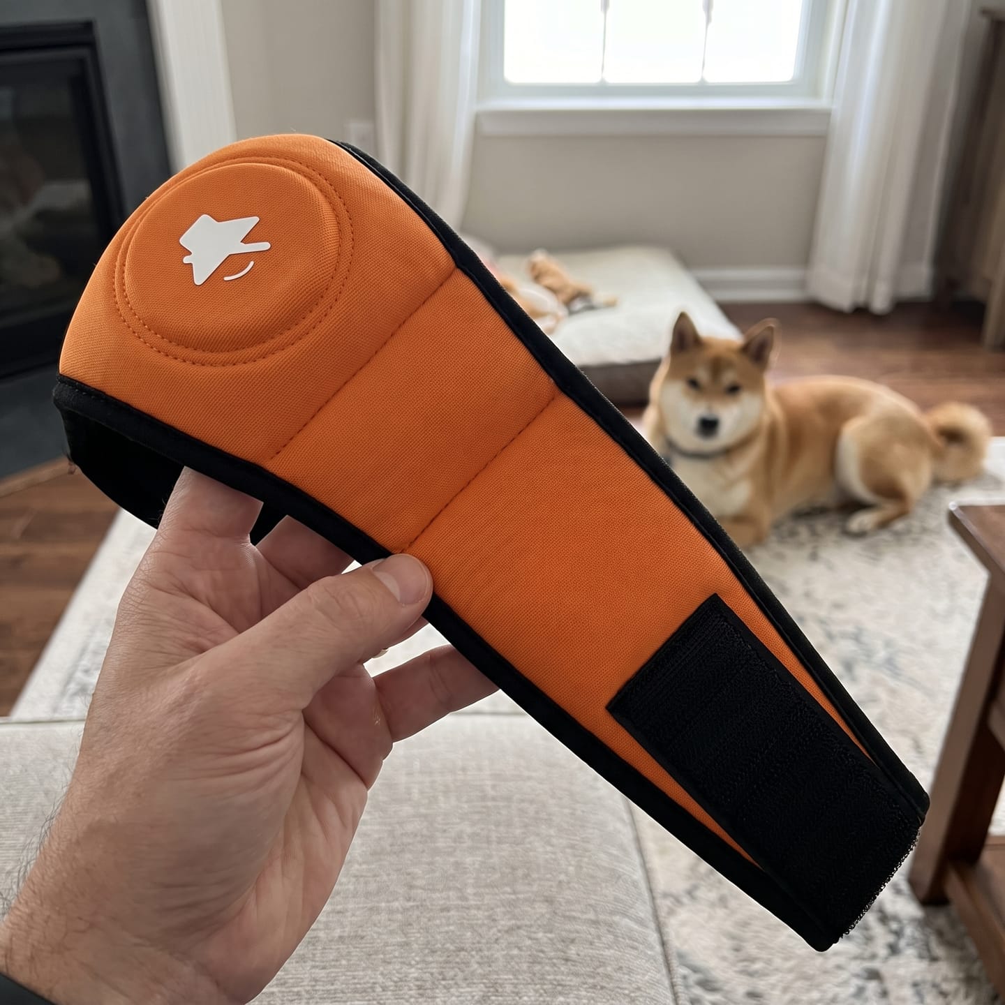 Customer photo review of Orejeras antirruido para perros