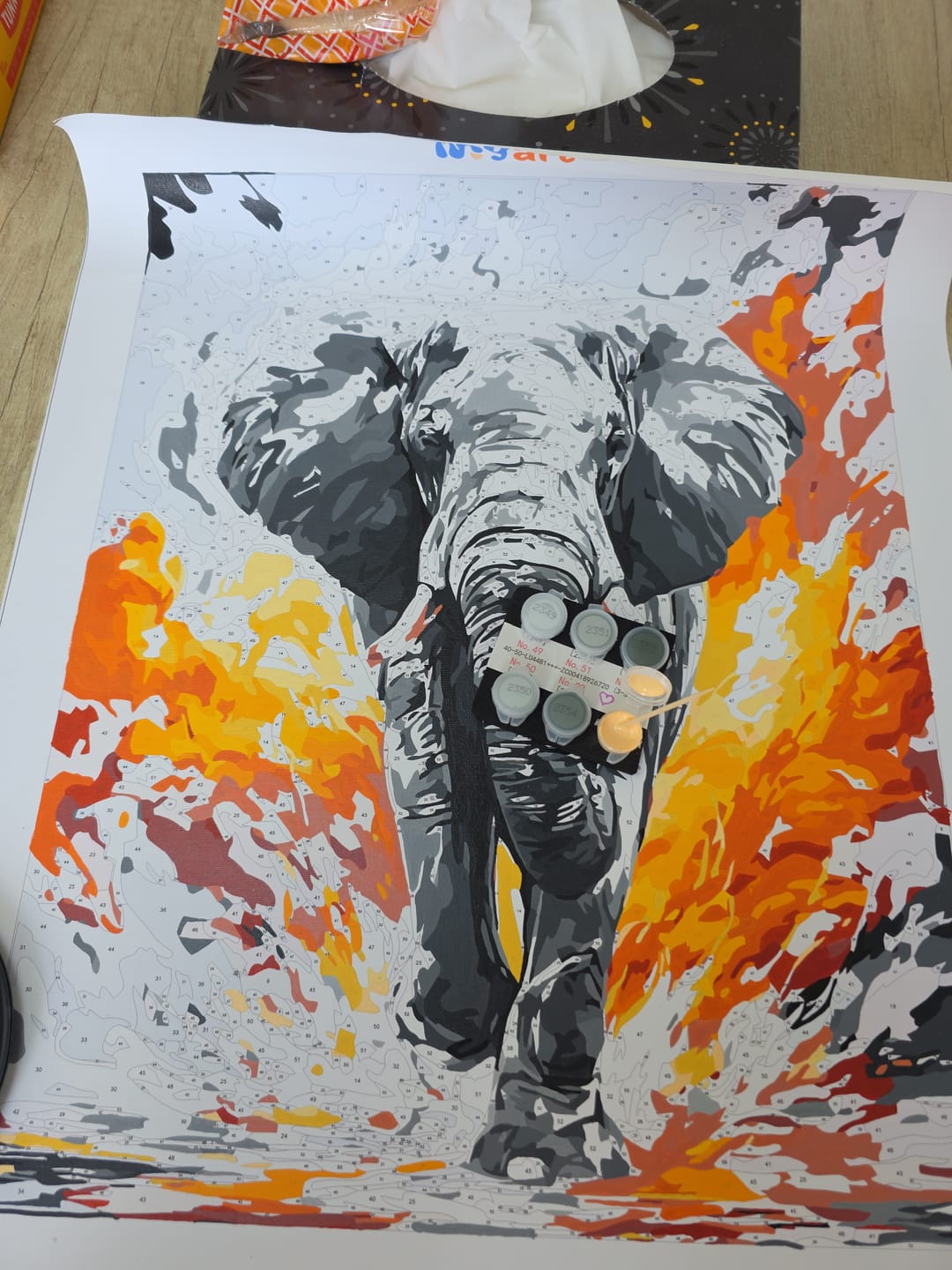 Customer photo review of Fire Elephant