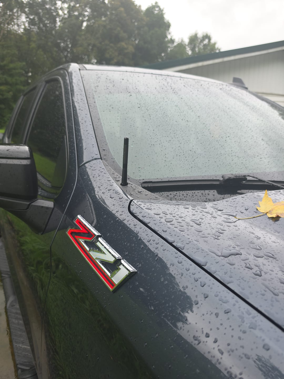 Customer photo review of 80Eighty® Carbon Antenna
