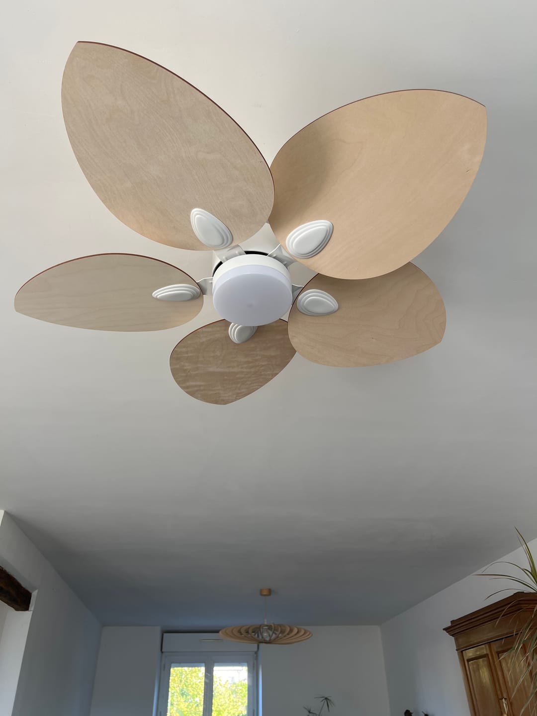 Customer photo review of Dahlia | Ventilateur de plafond
