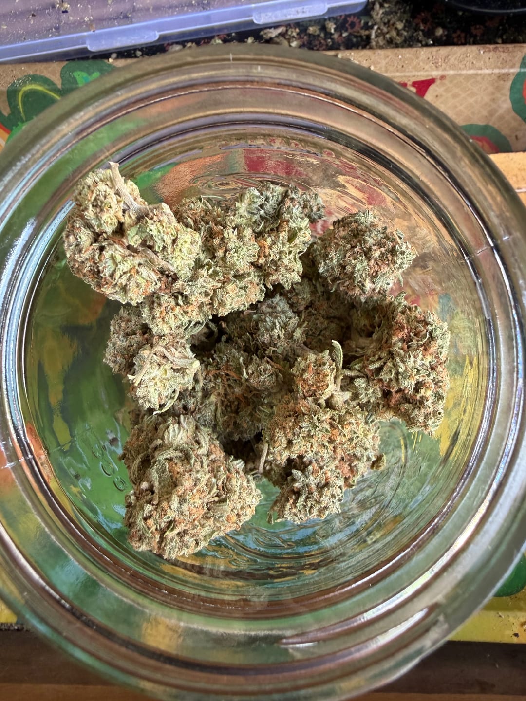Customer photo review of Maui Wowie - 14 Grams - Sativa