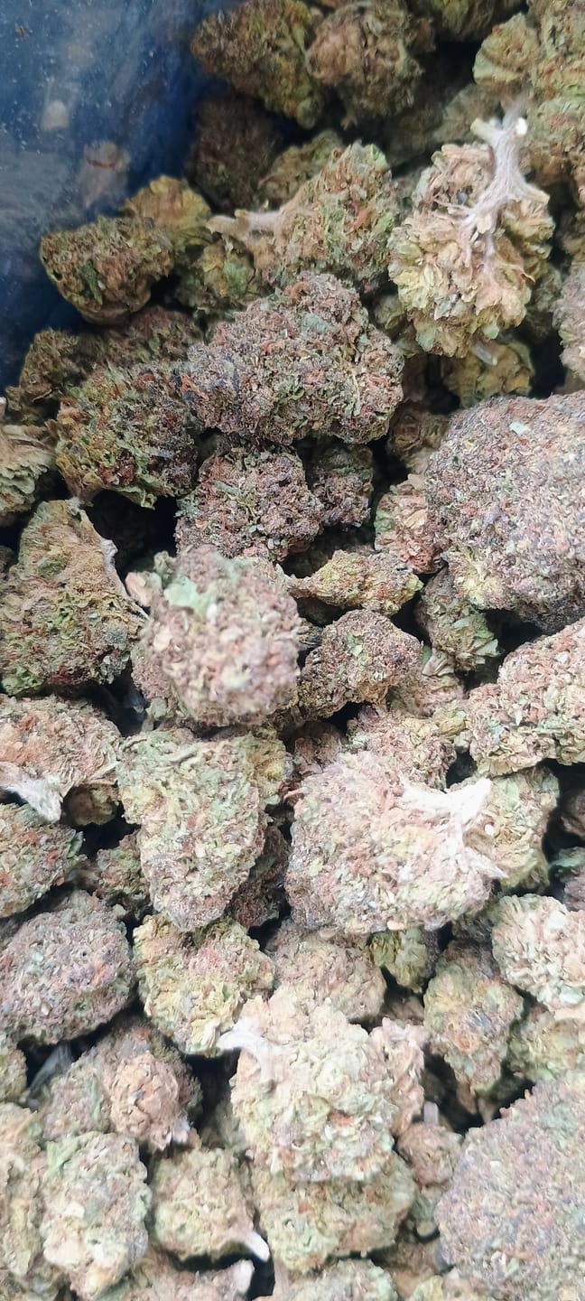 Customer photo review of Bulk THCA Flower Pounds