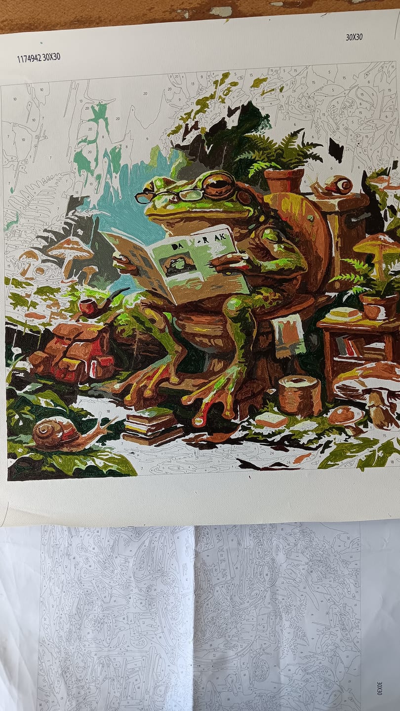Customer photo review of Woodland Frog Reading (Paint by Numbers)