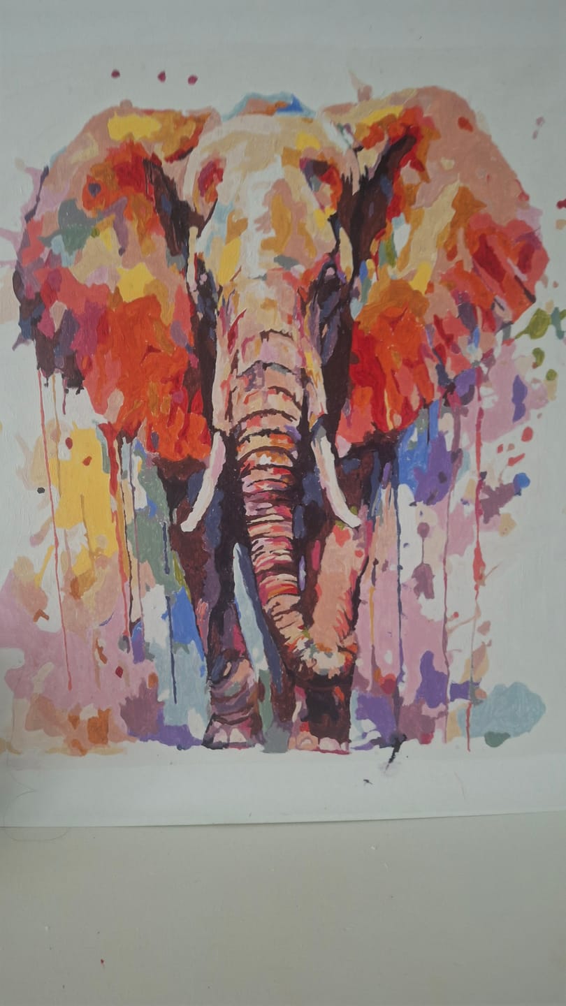 Customer photo review of Vibrant Elephant (Paint by Numbers)