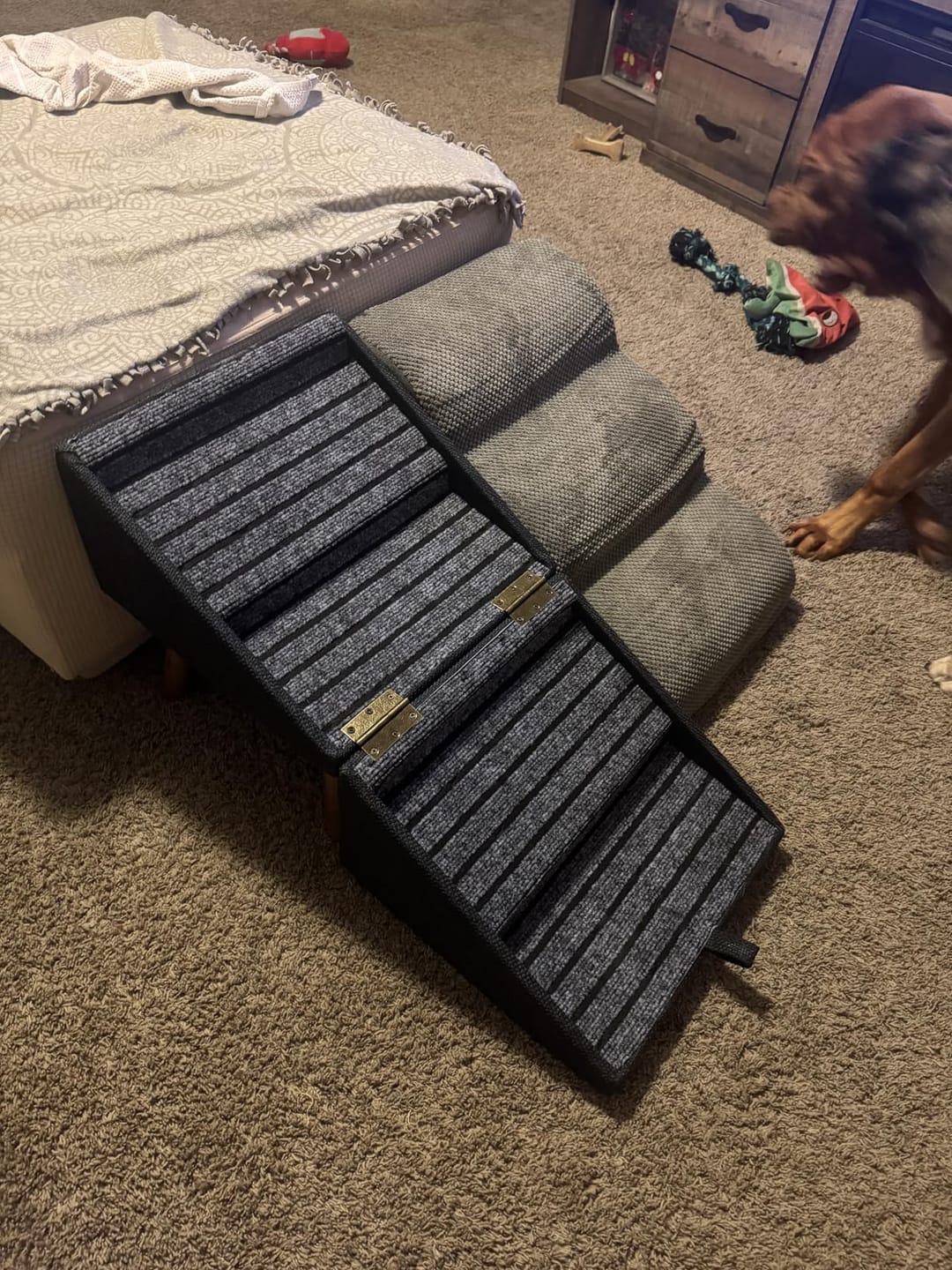 Customer photo review of 2-in-1 Foldable Dog Stairs Ramp for Bed and Couch
