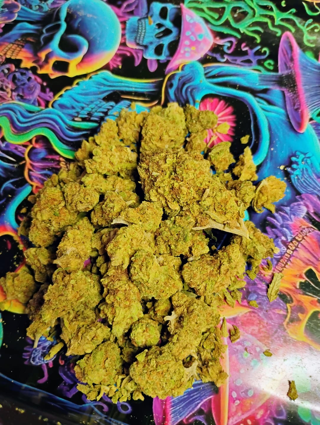 Customer photo review of Snake Venom THCA Flower
