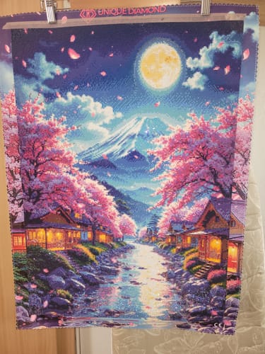 Customer photo review of 5D Diamond Painting – Moonlight over Hanami River