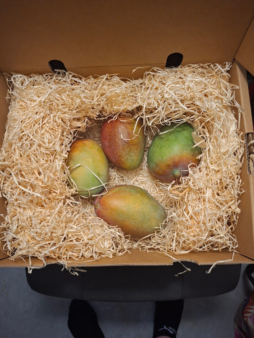 Customer photo review of Mango Mix von Juan 3kg Sonderaktion %