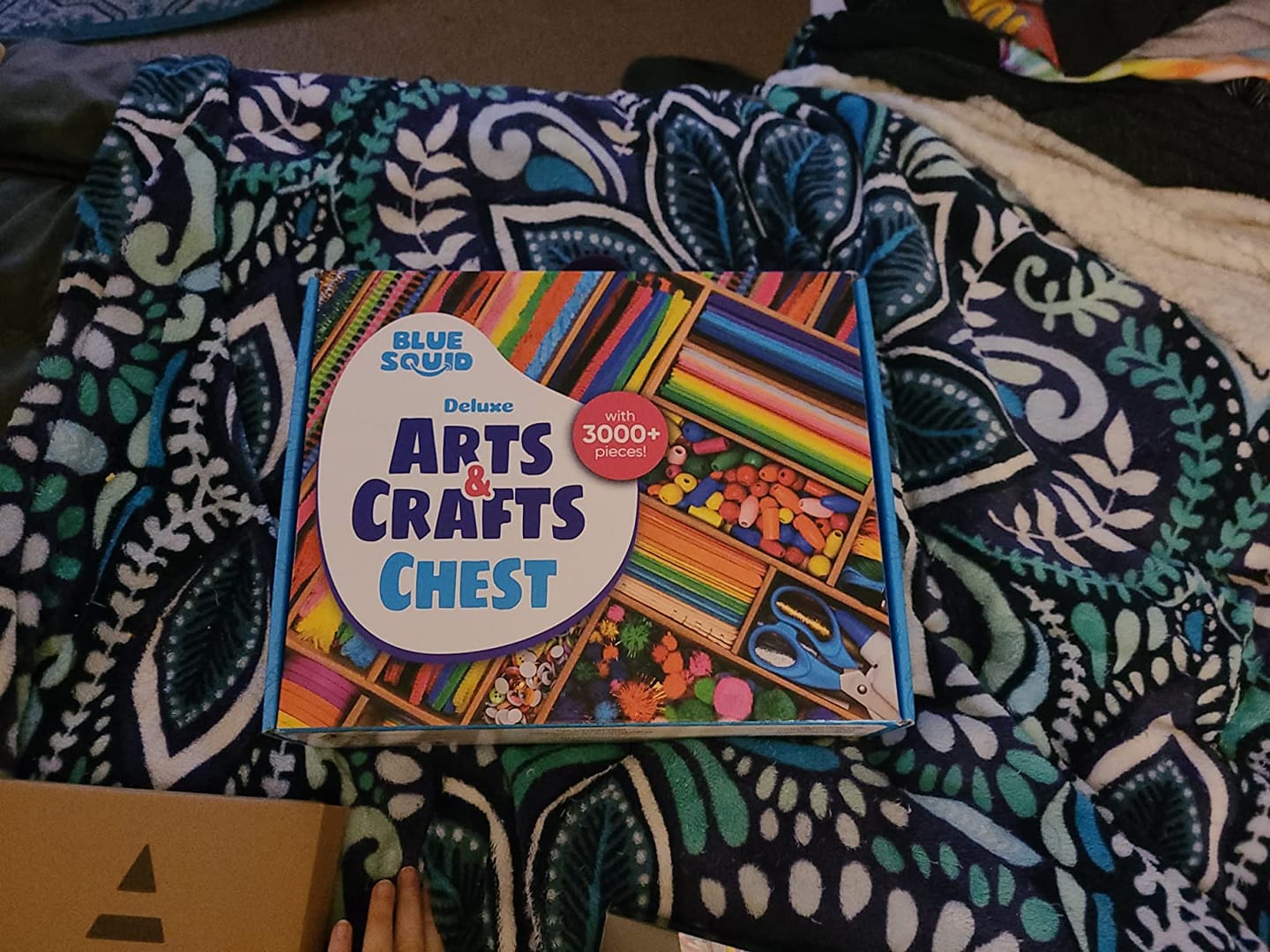 Customer photo review of Deluxe Craft Chest