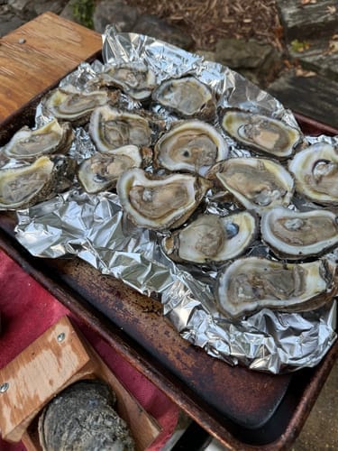 Customer photo review of The OysterClamp 2.0
