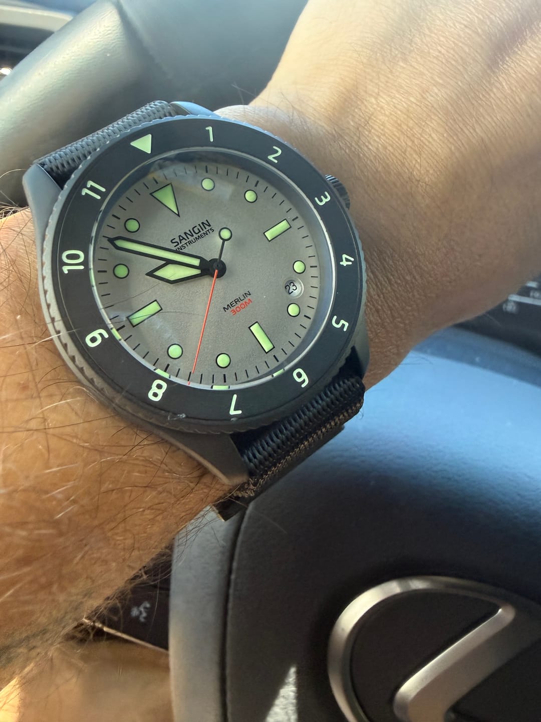 Customer photo review of Merlin (Private Release)